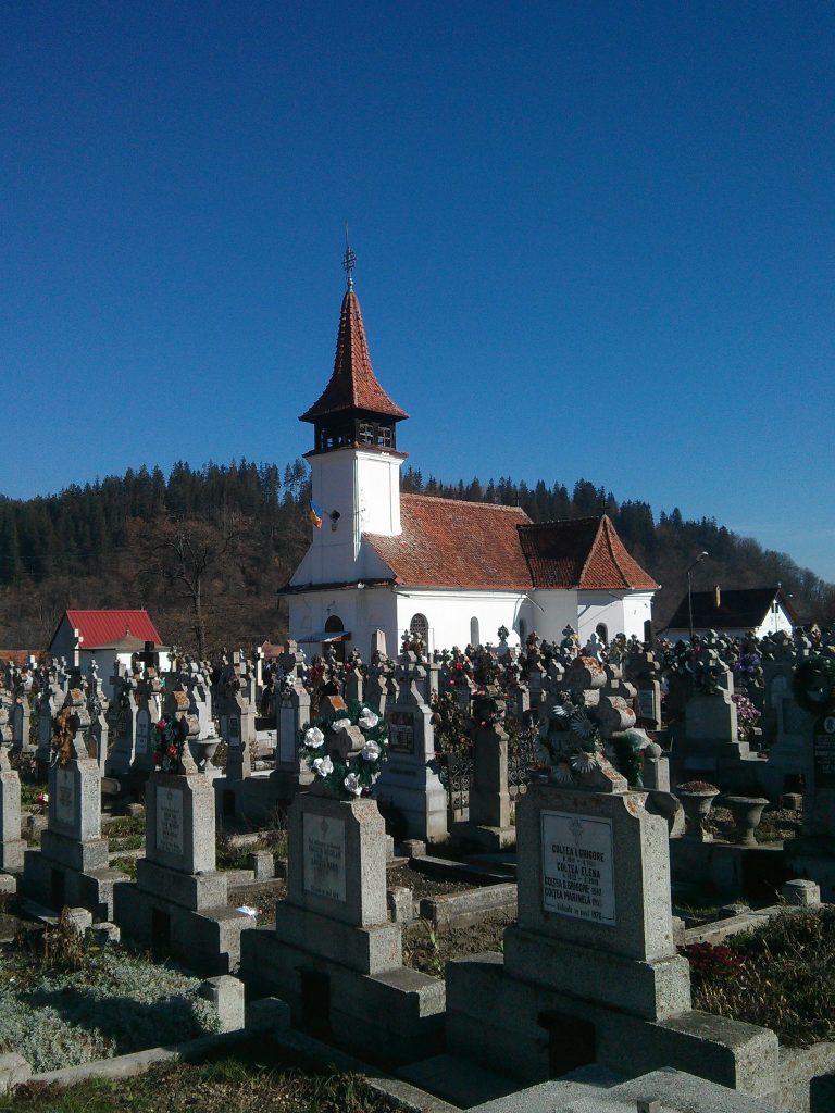 biserica nasterea maicii domnului din zarnesti