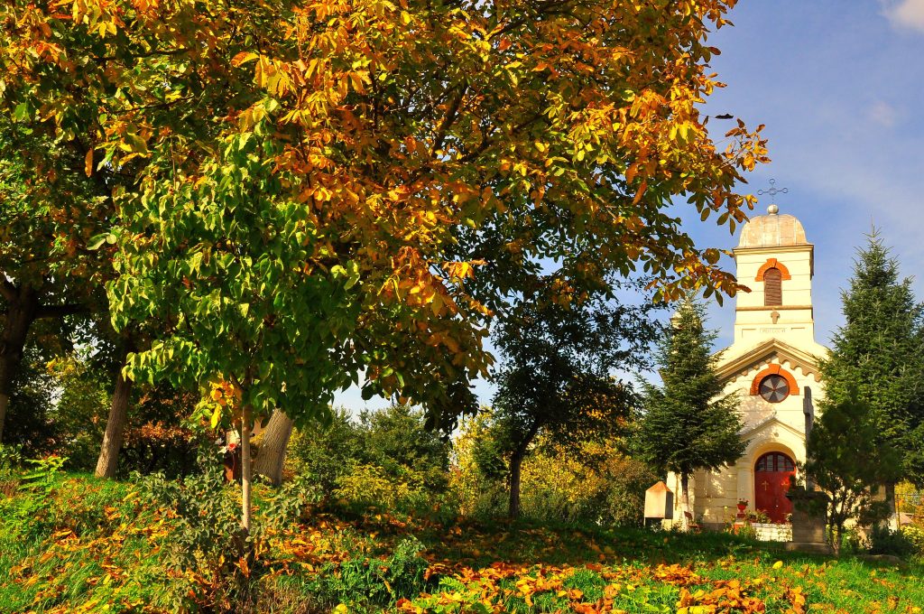 Biserica romano-catolică "Sf. Iosif Muncitorul" Dorohoi 1 biserica romano catolica sf iosif muncitorul dorohoi
