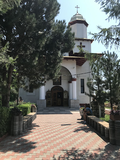 Mănăstirea Radu Negru