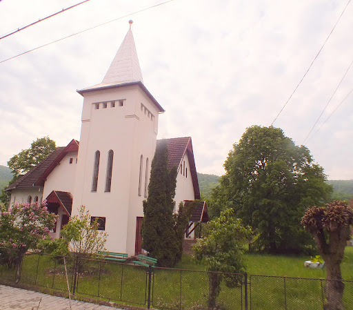 Biserica Reformată Viile Dejului