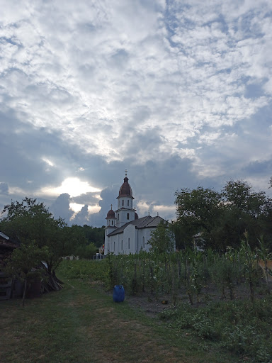 Biserica Ortodoxă IV