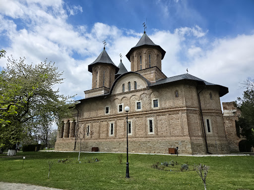 Biserica Mare Domnească