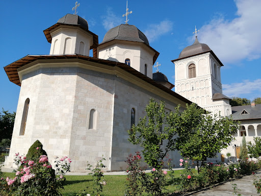 Mănăstirea Negru Vodă