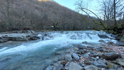 Pietroasa