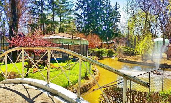 Grădina Zoologică Târgoviște 1 gradina zoologica targoviste